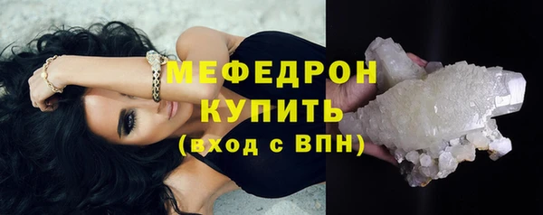 стаф Вяземский