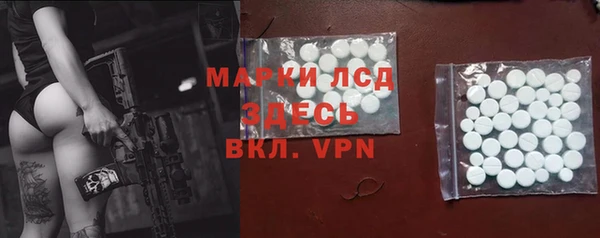 стаф Вяземский