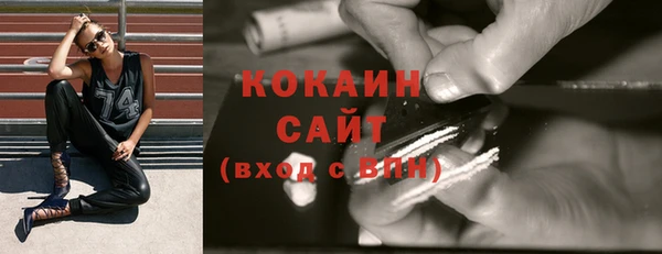 стаф Вяземский