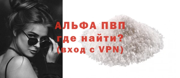 стаф Вяземский