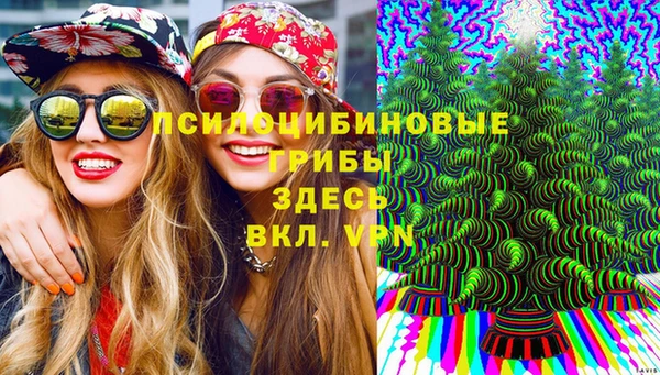 дурь Вязьма