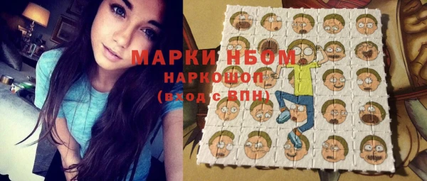 стаф Вяземский