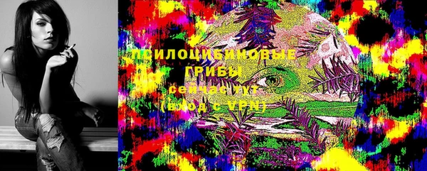 дурь Вязьма