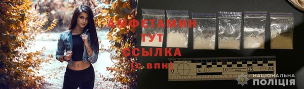 стаф Вяземский
