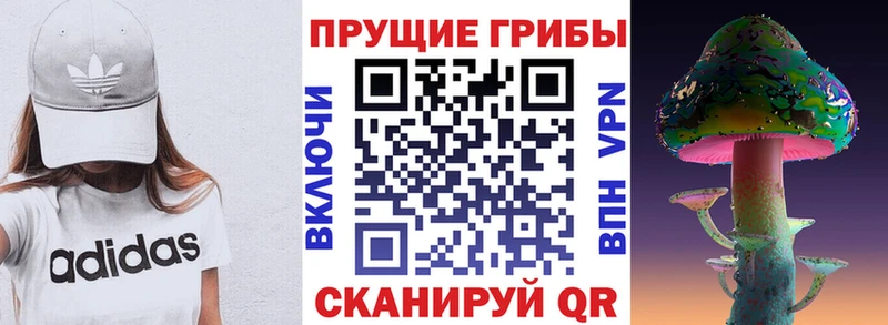 даркнет официальный сайт  наркотики  ОМГ ОМГ зеркало  Гуково  Галлюциногенные грибы MAGIC MUSHROOMS 