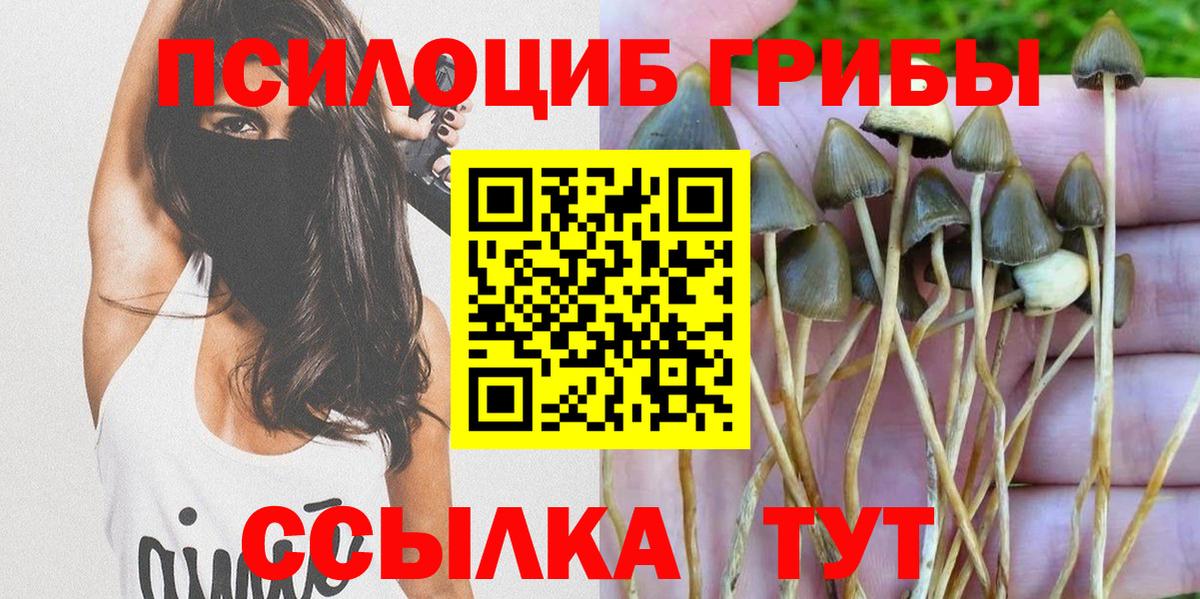 Псилоцибиновые грибы ЛСД Гуково