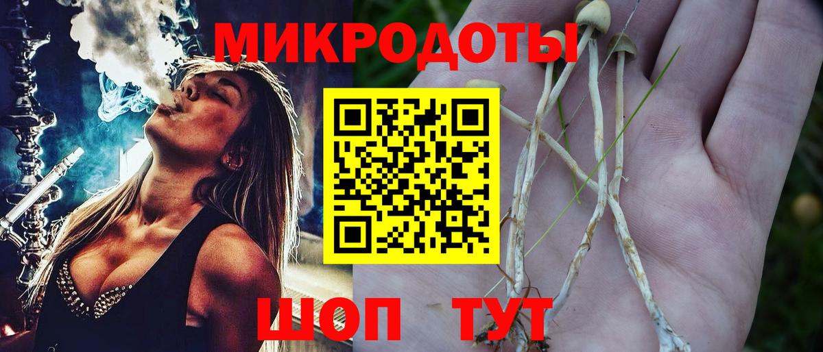 Псилоцибиновые грибы мухоморы  Гуково  Псилоцибиновые грибы Psilocybine cubensis 