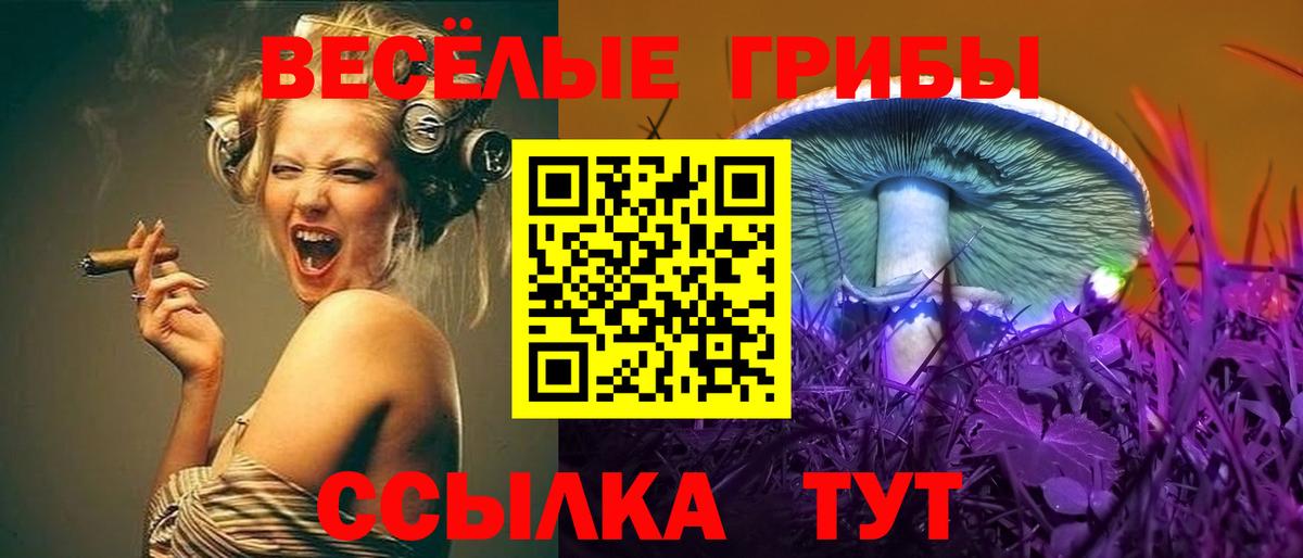 Псилоцибиновые грибы MAGIC MUSHROOMS Гуково