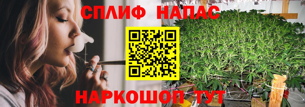 Марихуана индика  Вход с VPN  Гуково  Марихуана семена  МАРИХУАНА семена  Канабис THC 21% 